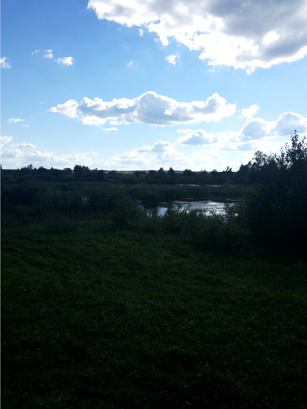 20130817_165224.jpg