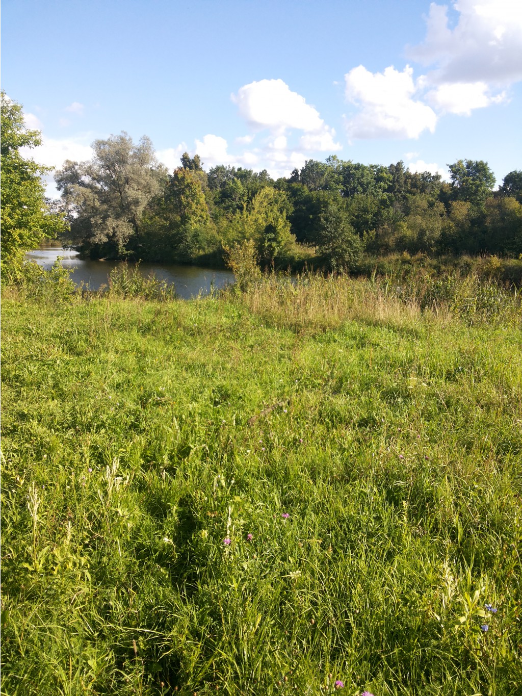 20130817_171950.jpg