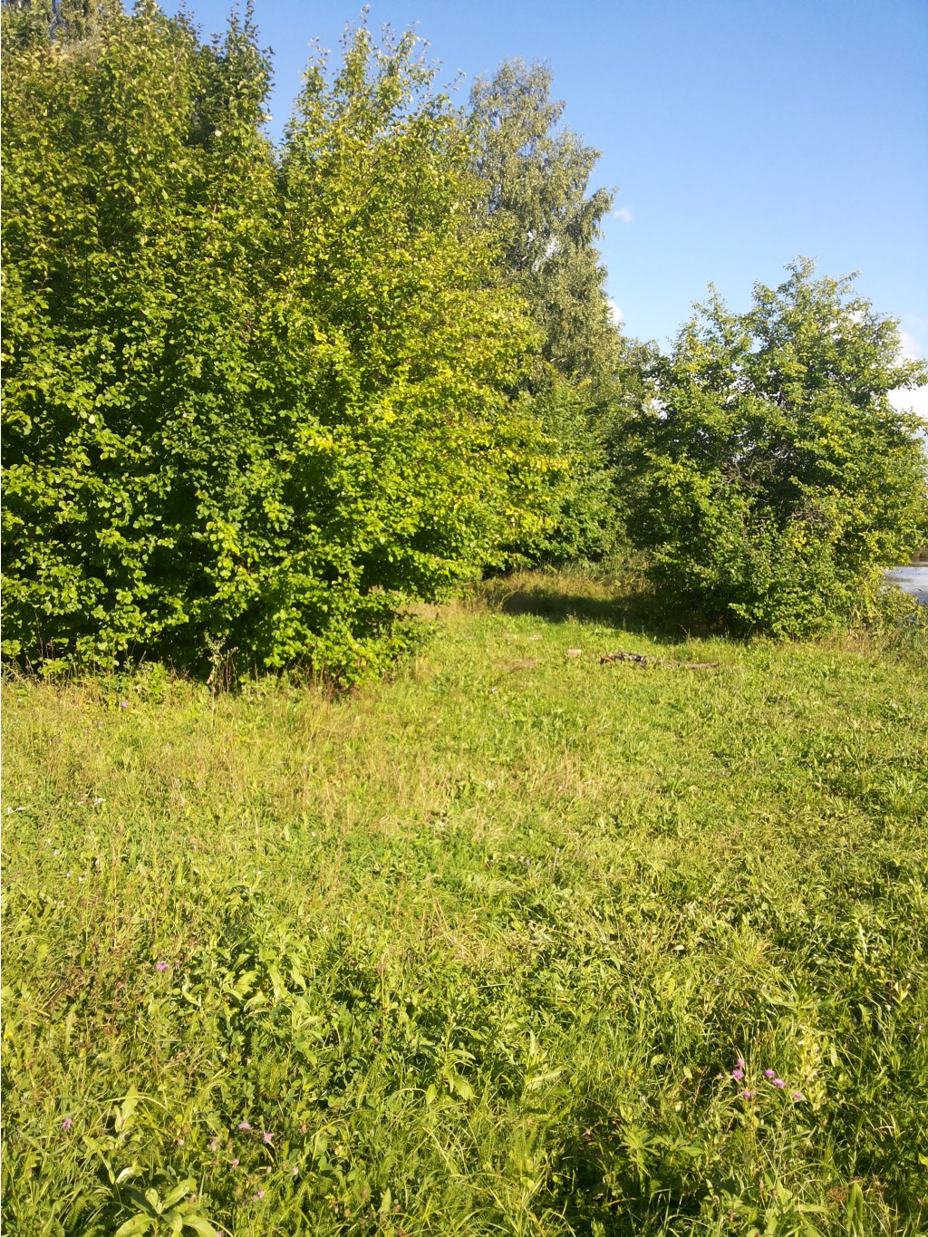 20130817_171953.jpg