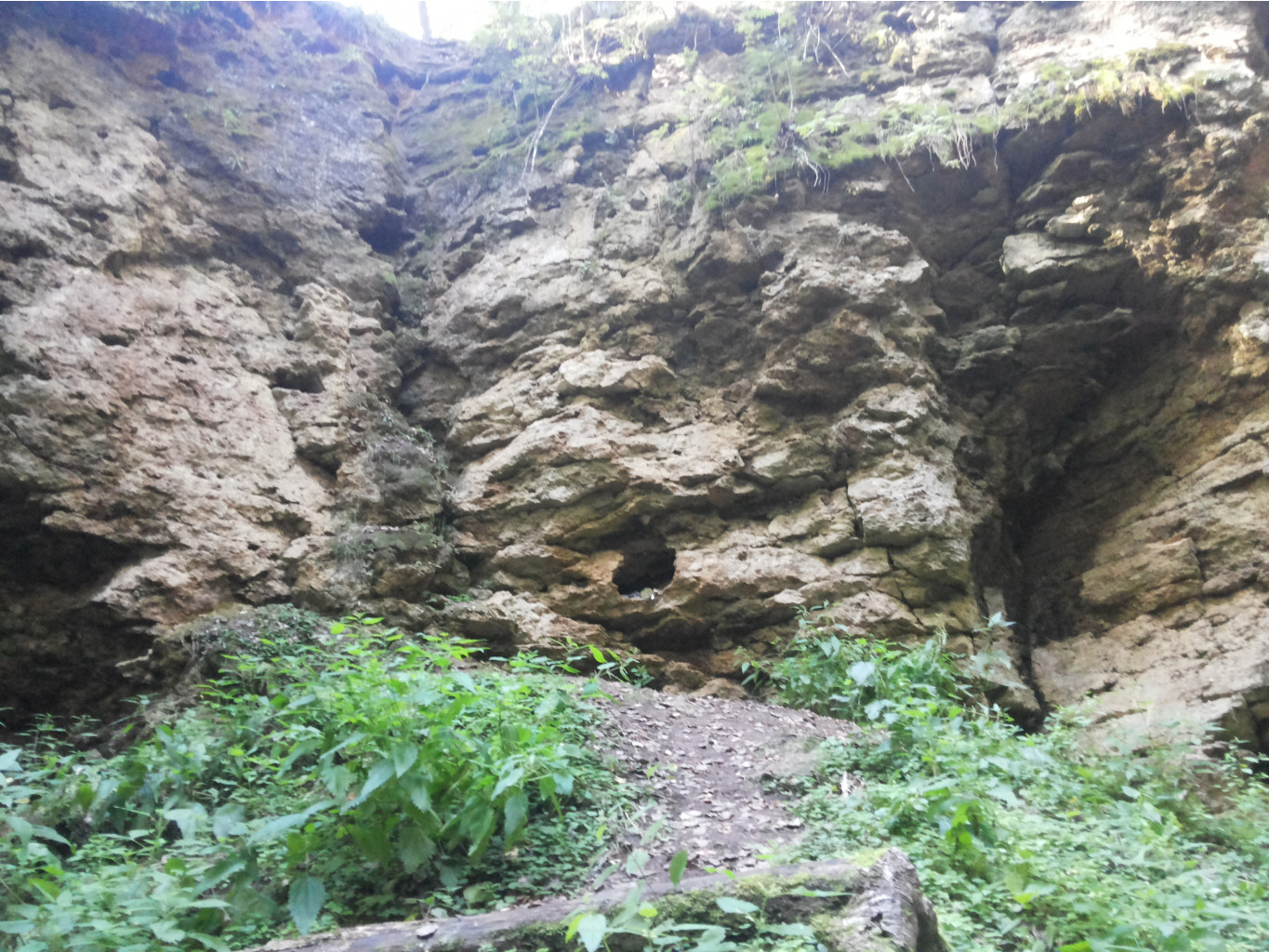 20130817_175516.jpg