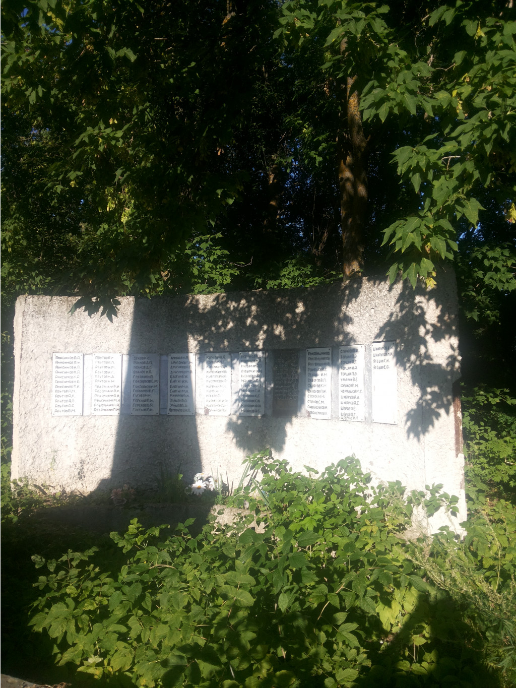 20130818_175004.jpg