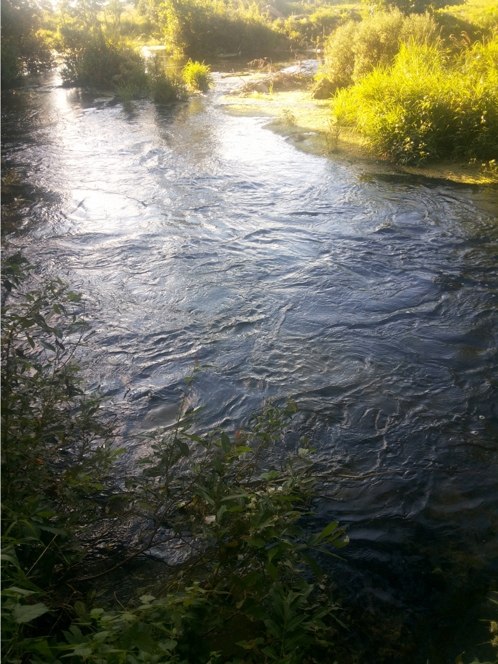 20130818_181949.jpg