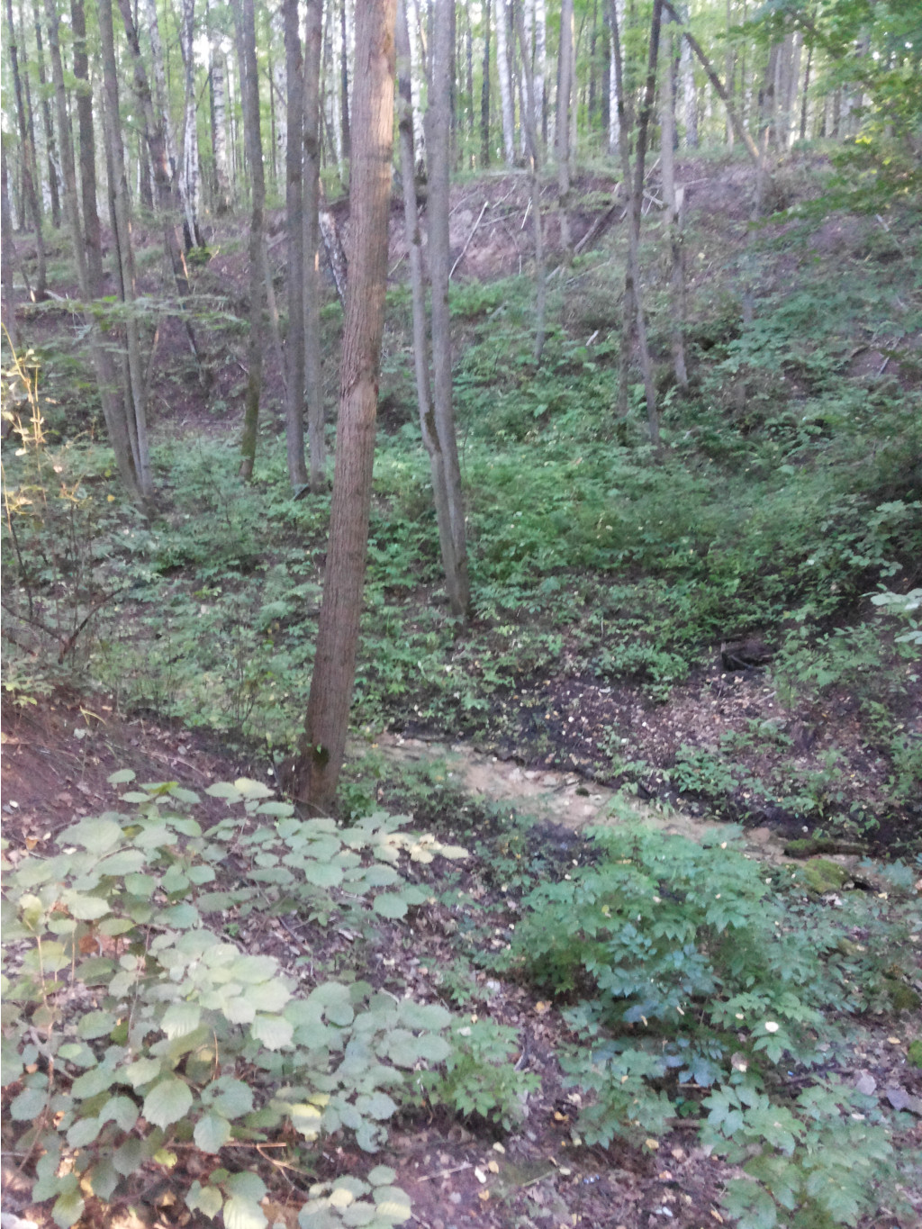 20130818_190350.jpg