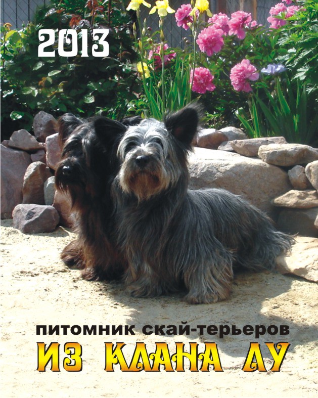 скаи 1.jpg