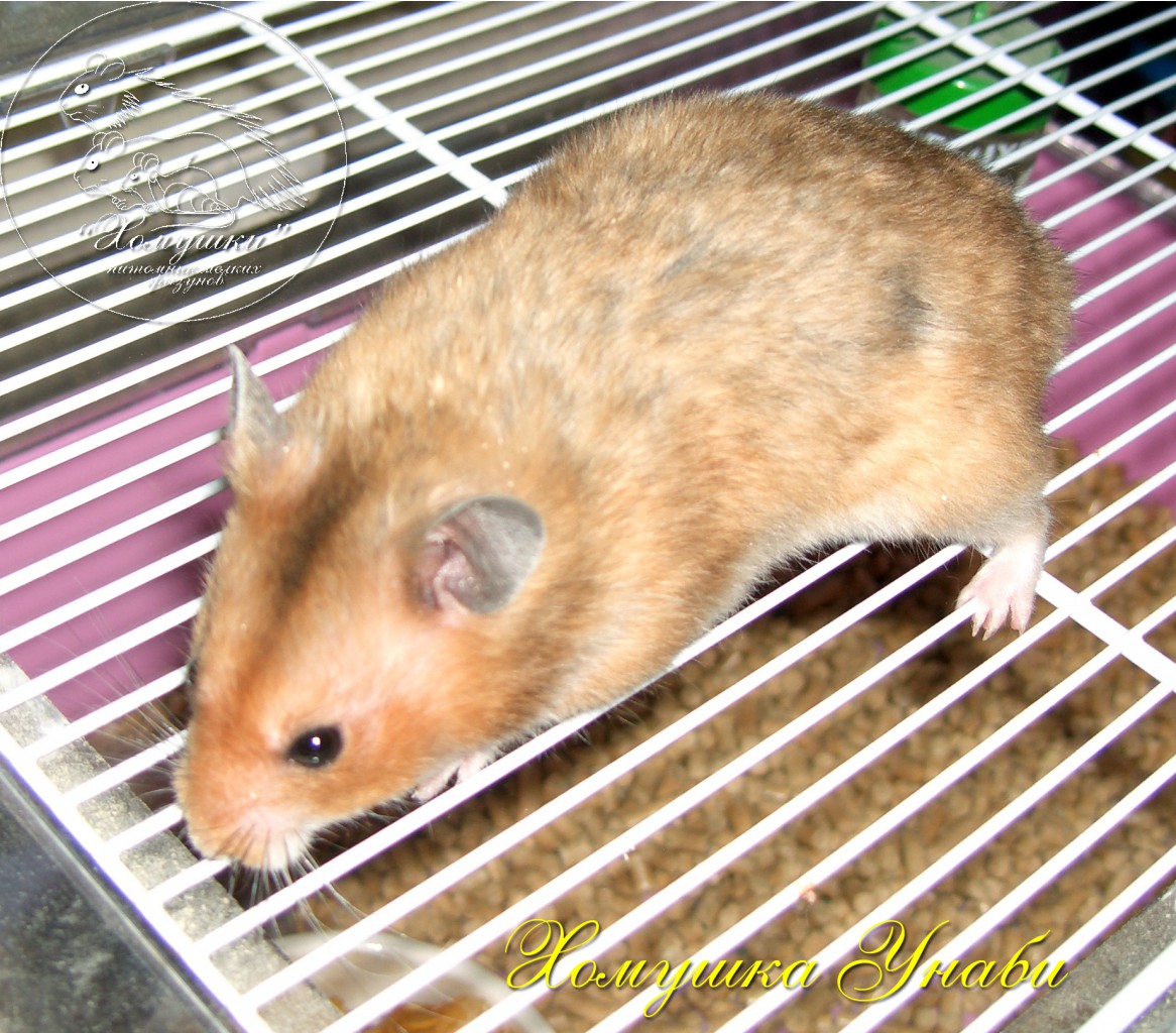 CIMG2914.JPG