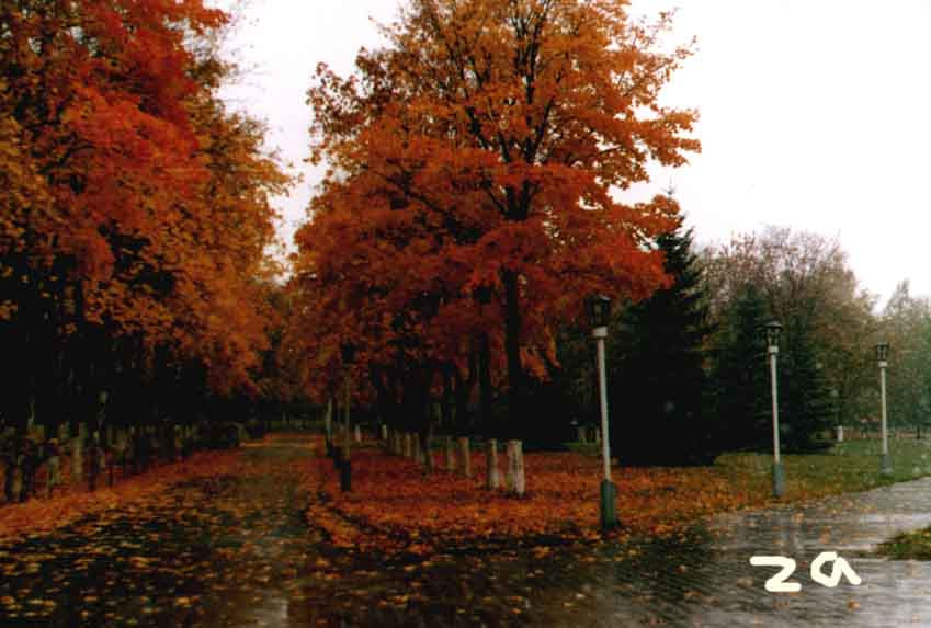 62.jpg