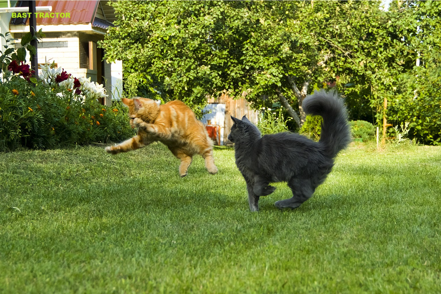 DSCF2070.jpg
