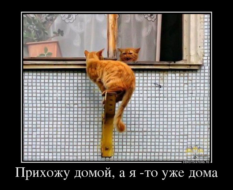 23.08.2013 10:37:50