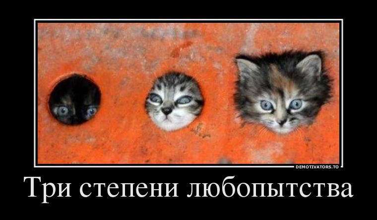 23.08.2013 10:41:18