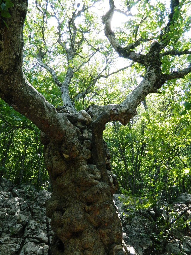  2013.08.11 14.24.30.JPG