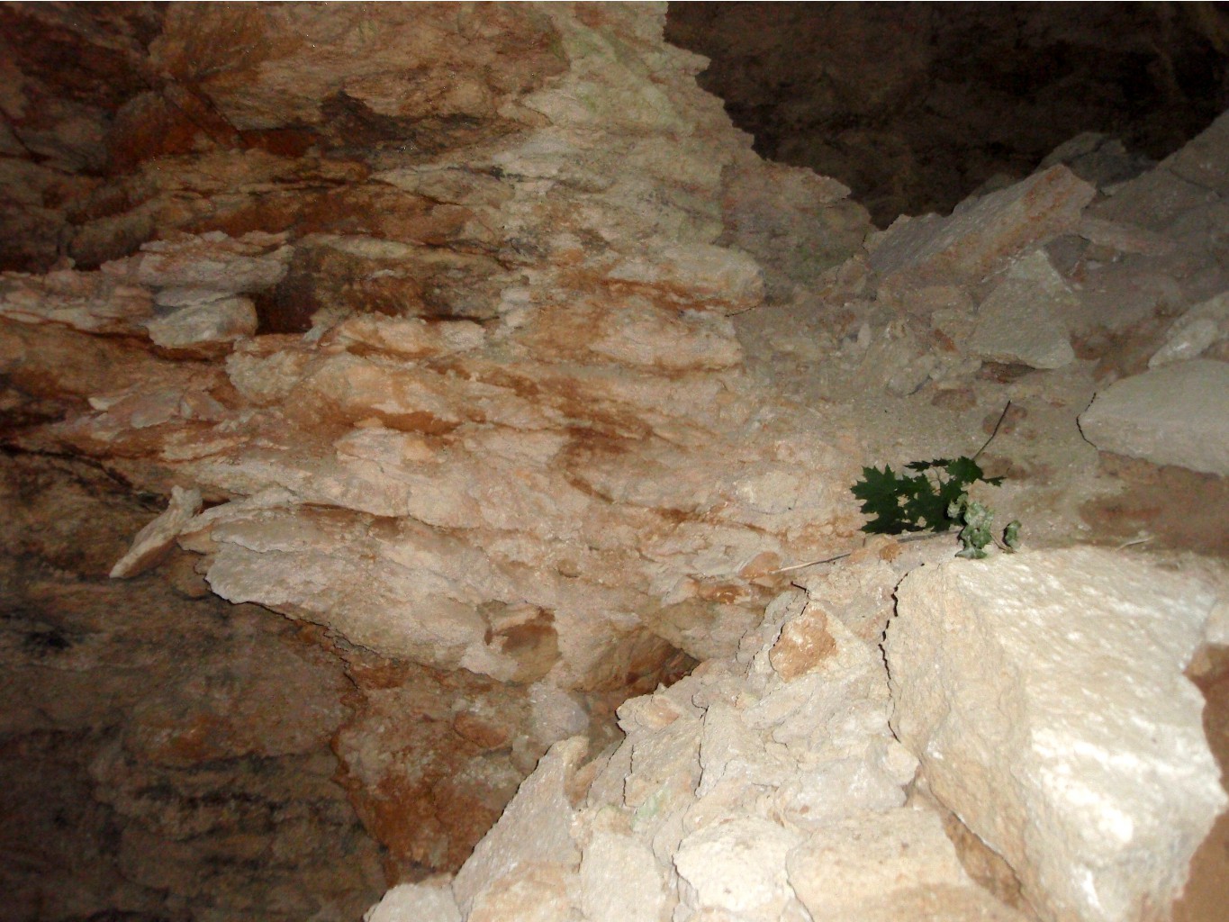 P8177454_1.jpg