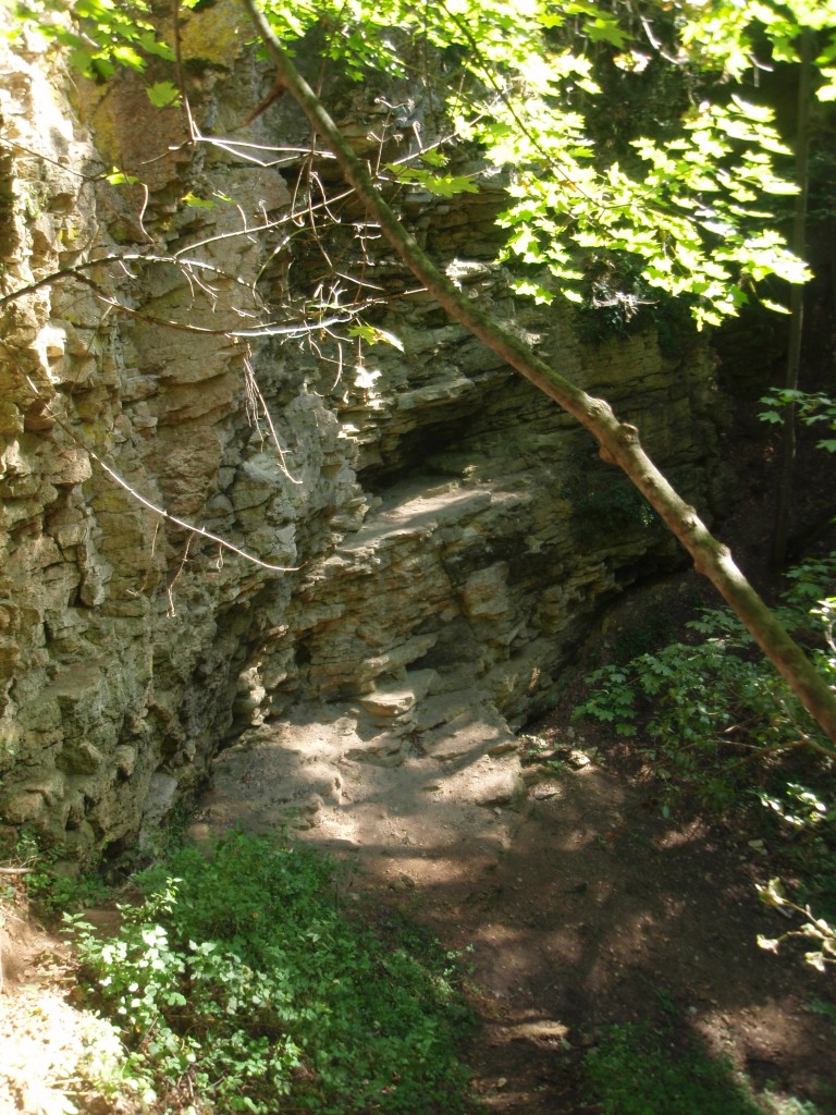 P8177473.jpg
