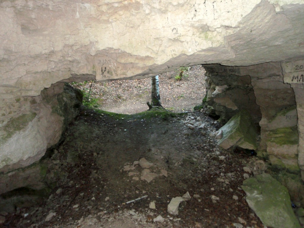 P8177510_1.jpg