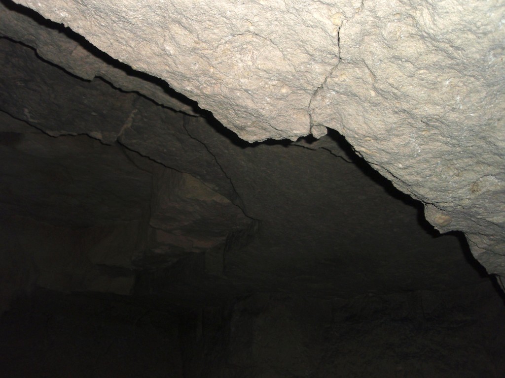 P8177512_1.jpg