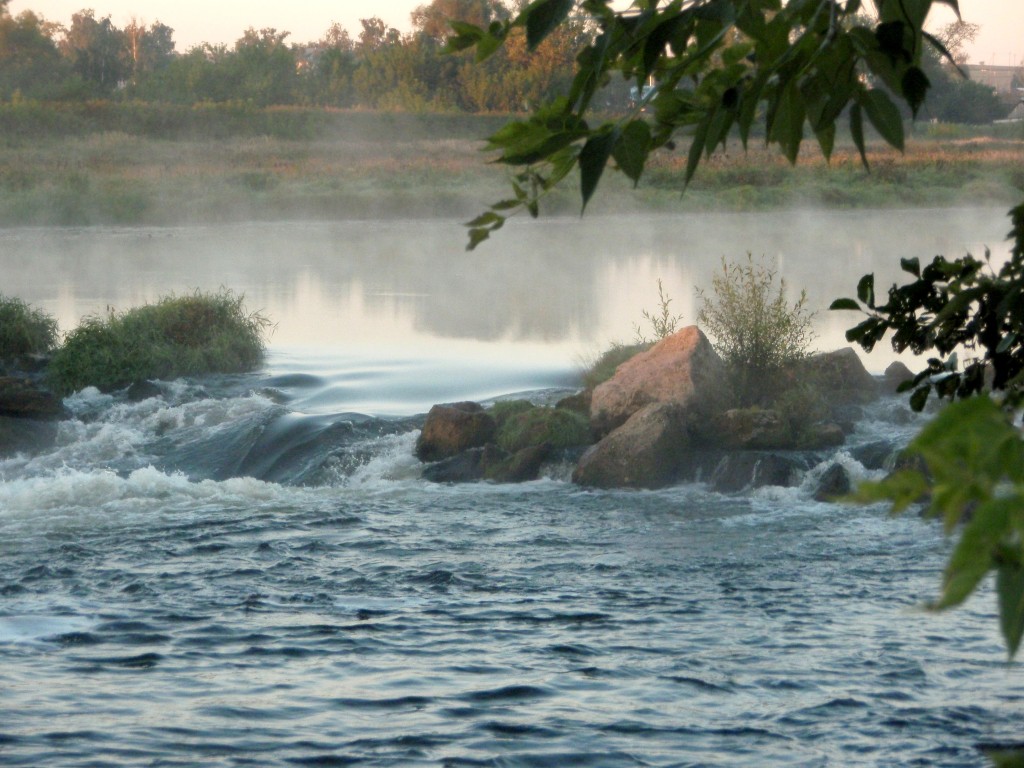 P8187520_1.jpg