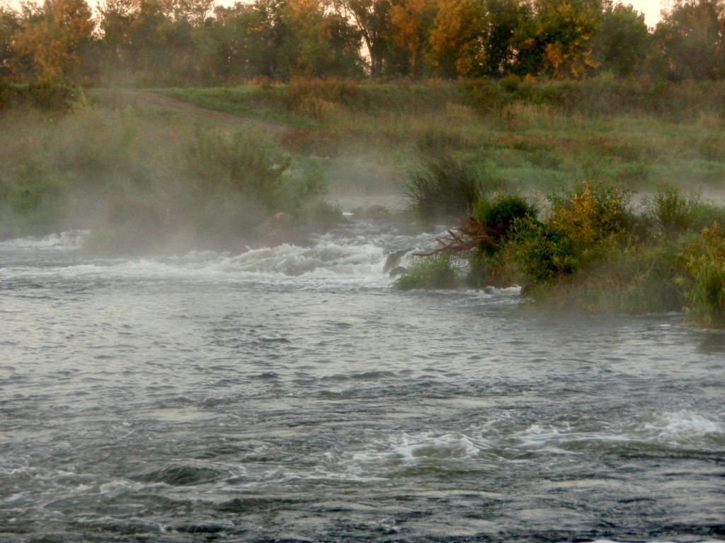 P8187522_1.jpg