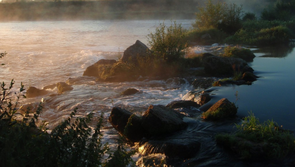 P8187523_1.jpg