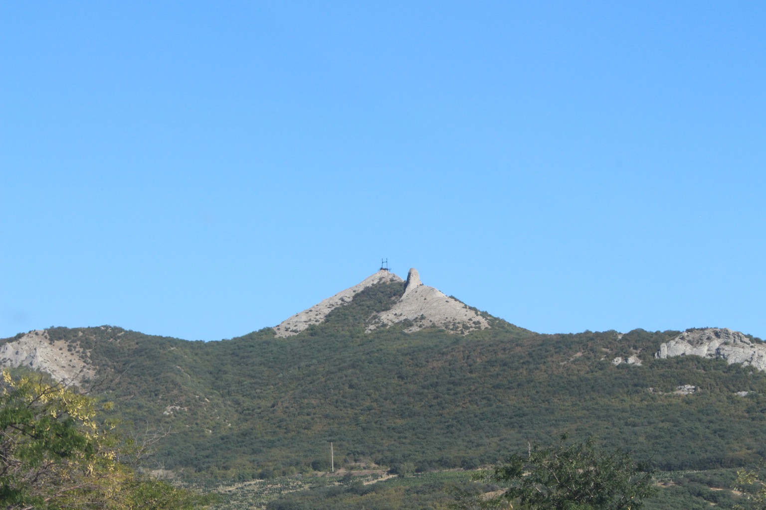  478.jpg