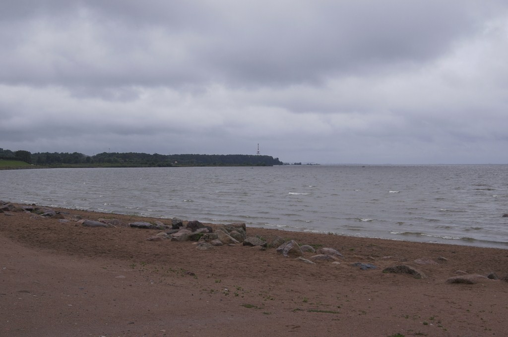 DSC03350 ().jpg
