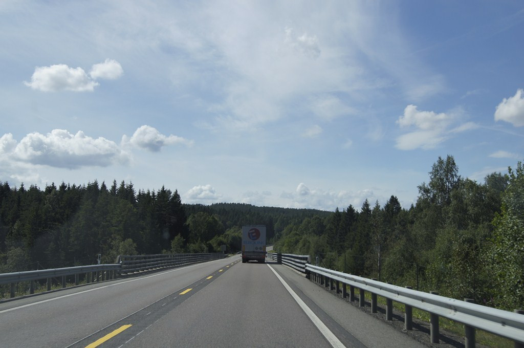 DSC03756 ().jpg