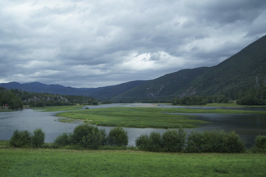 DSC03840 ().jpg