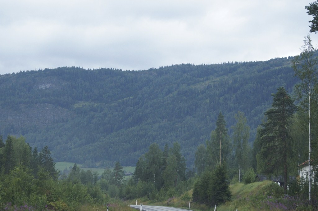 DSC03863 ().jpg