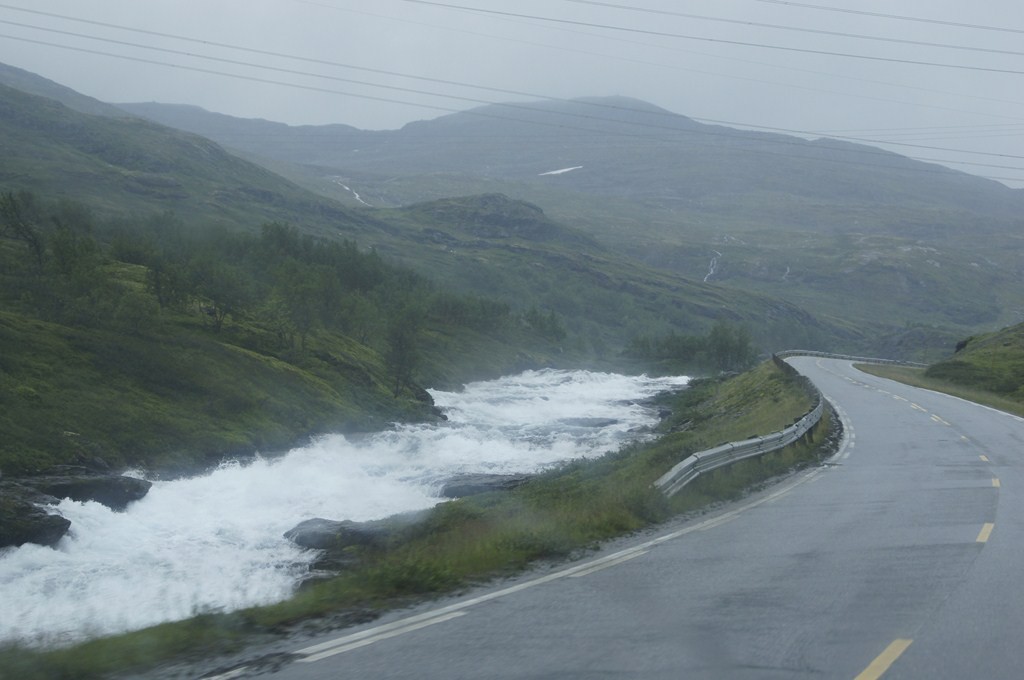 DSC03905 ().jpg