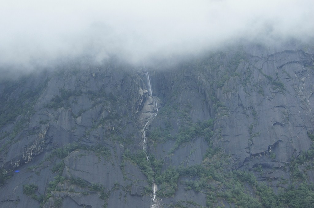 DSC03979 ().jpg