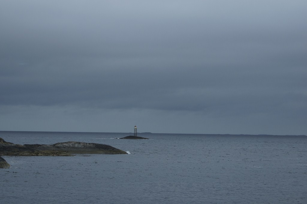 DSC04504 ().jpg