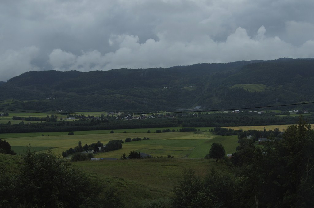 DSC04530 ().jpg