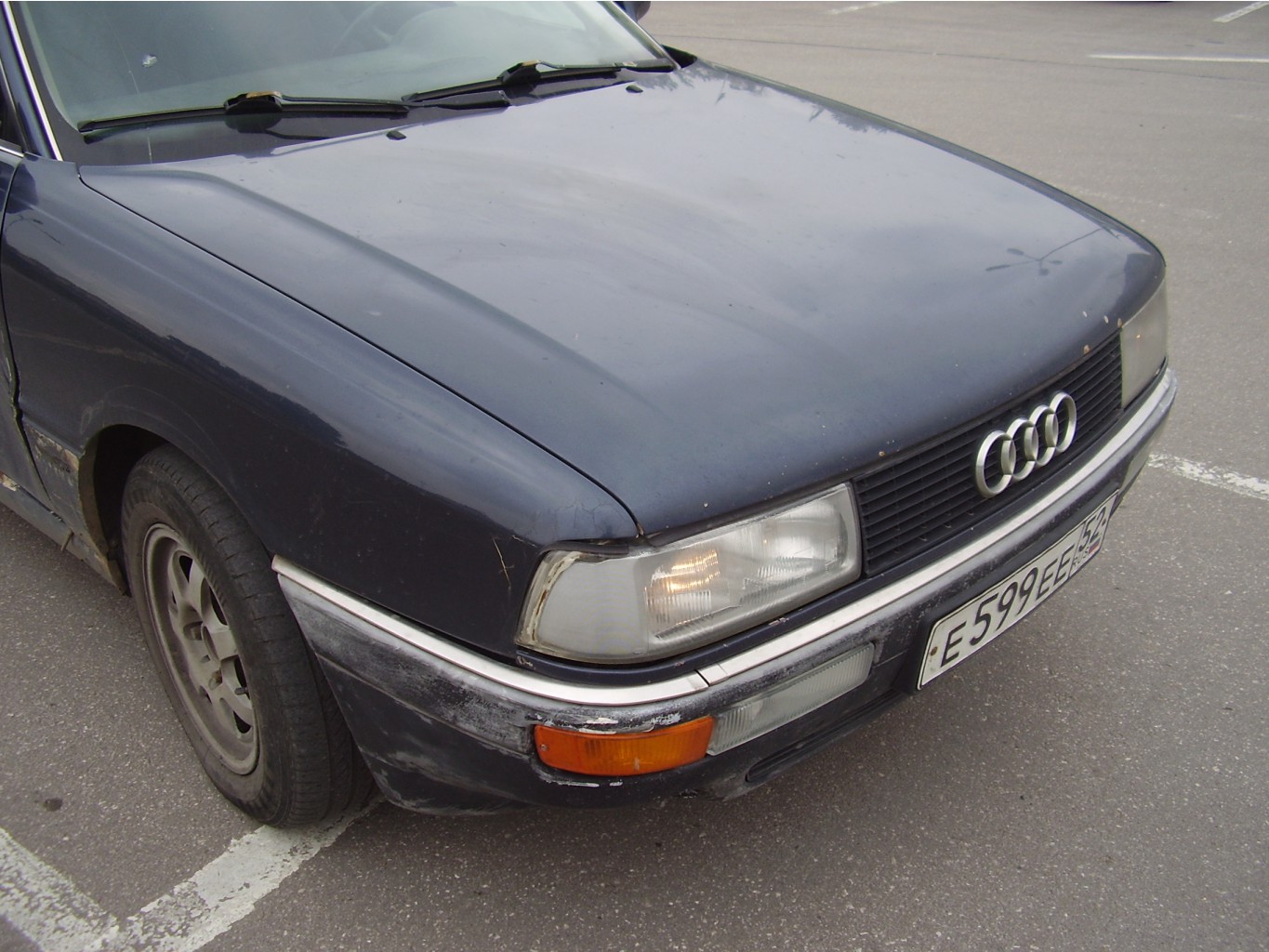 p8300006.jpg