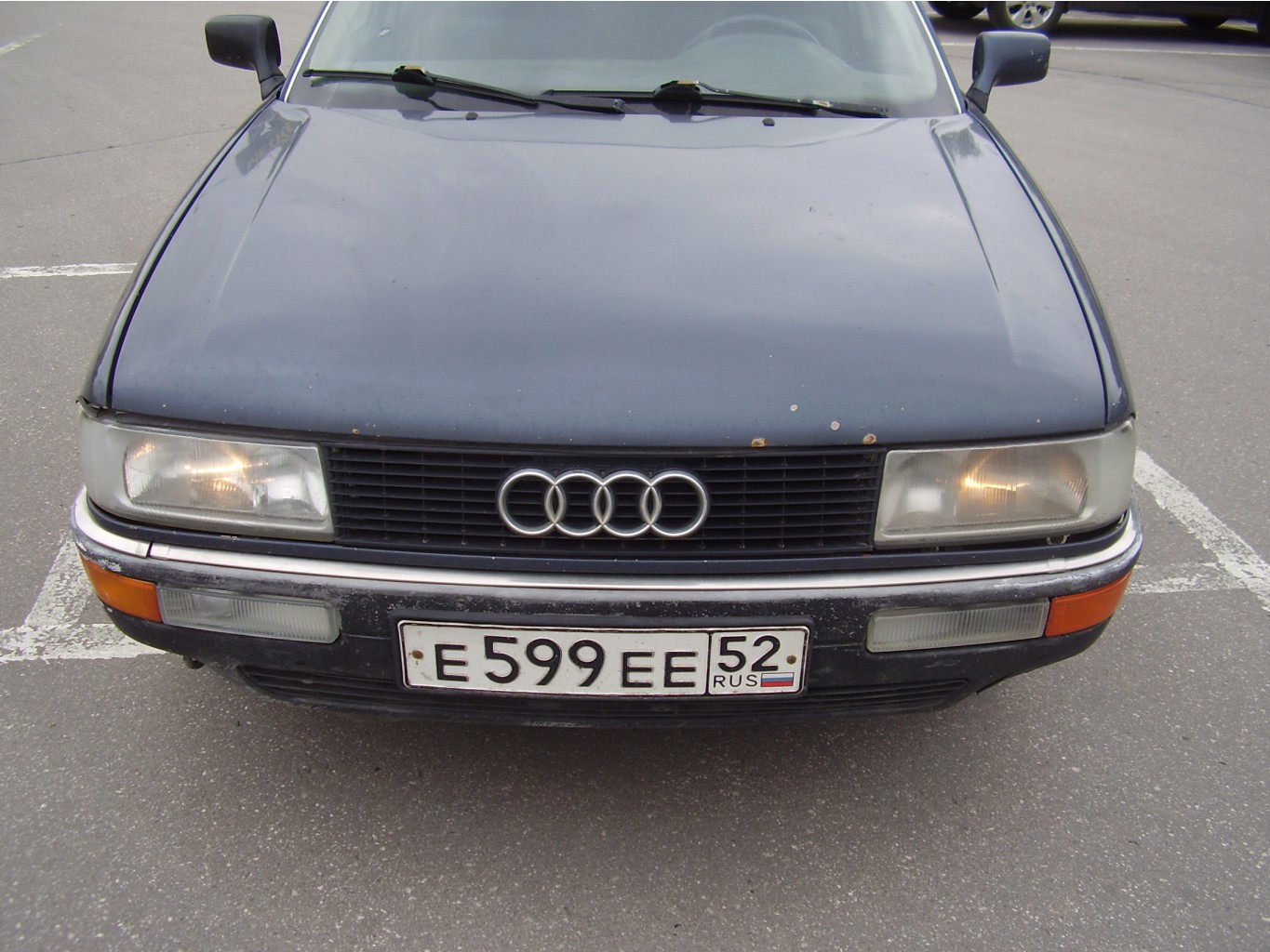 p8300007.jpg