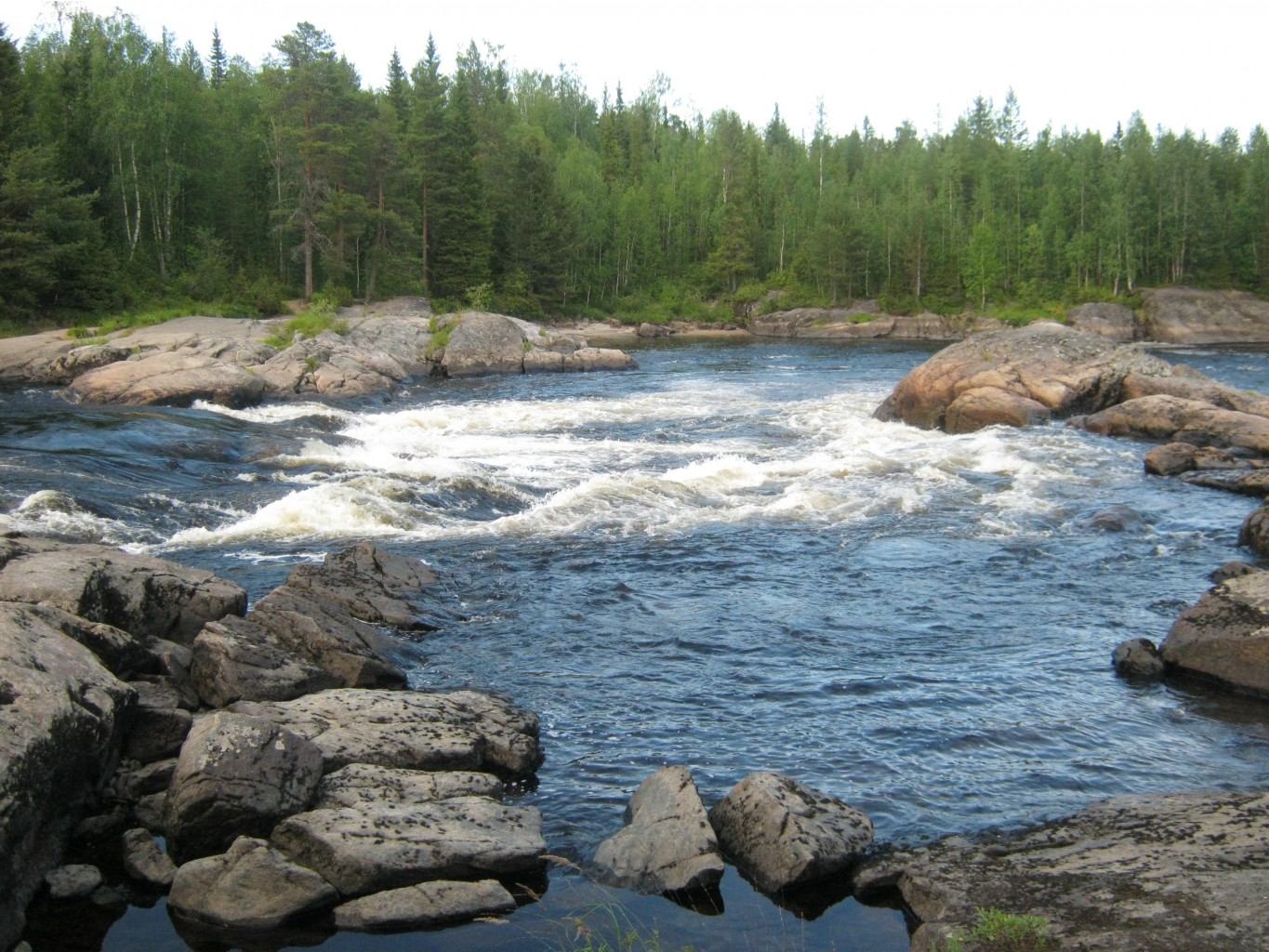 IMG_1490.JPG