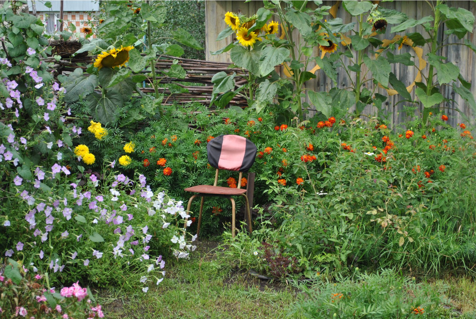 DSC_0025.JPG