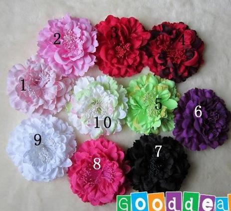 http://www.aliexpress.com/item/Free-Shipping-10-Colors-For-Your-Choose-4-8-Big-Baby-Flower-Rose-Flower-Hair-Clip/592835589.html
