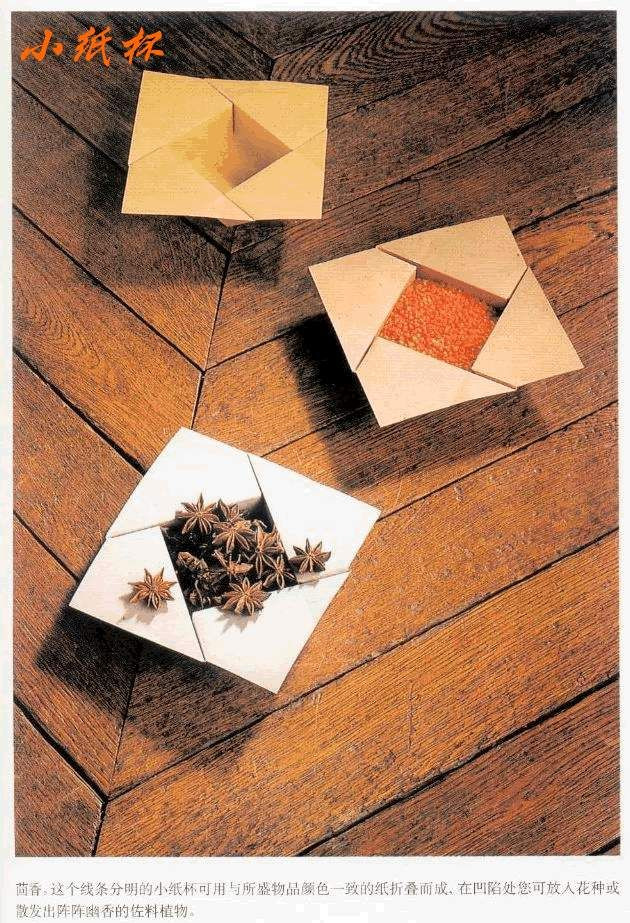 Livro_Origami_V (67).jpg