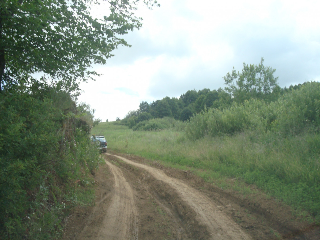 DSC08772.JPG