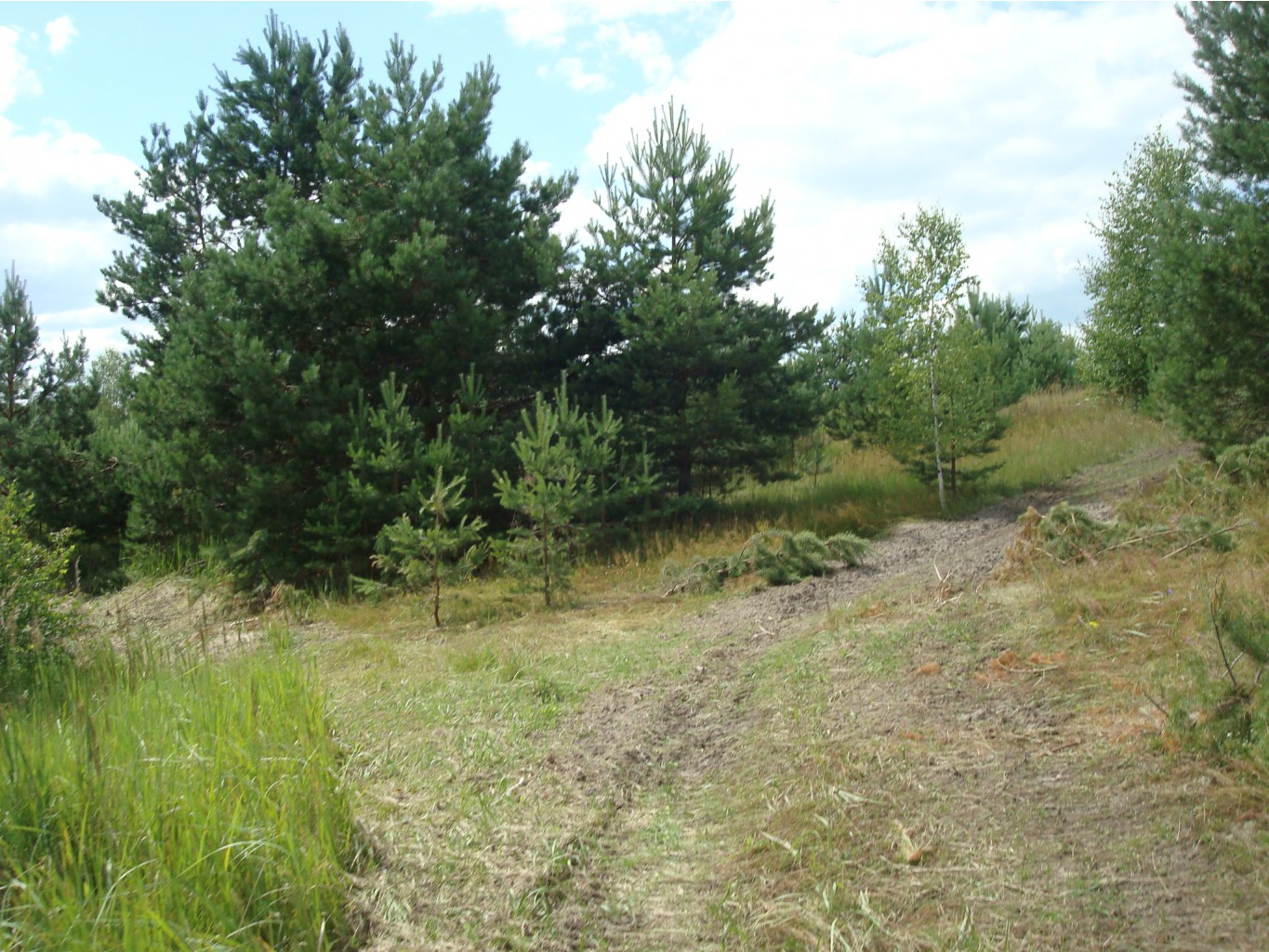 DSC08782.JPG