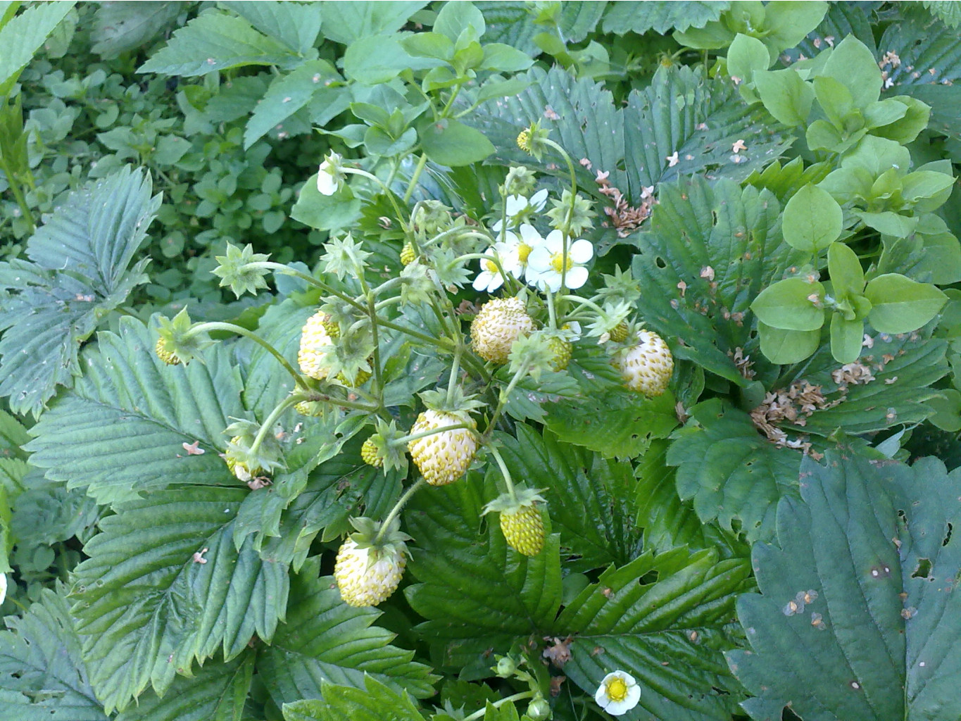 30062012233.jpg