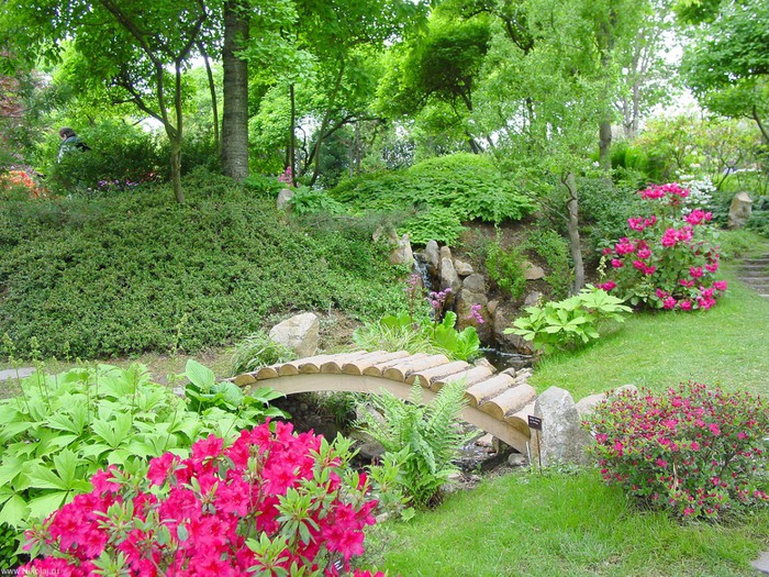 73857343_1868538_1293540554_garden_nikolaj_ru_2756_1280.jpg