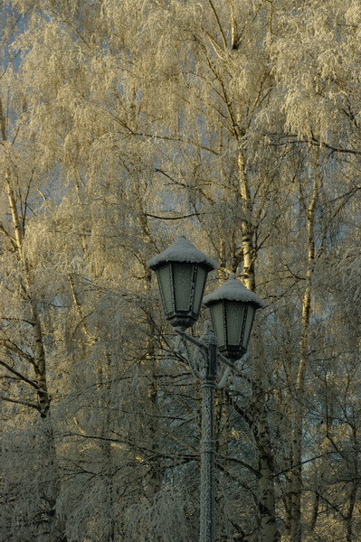 22.12.2009 14:38:57