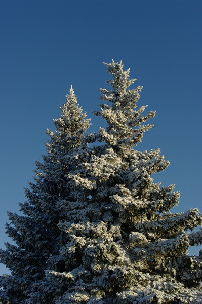 22.12.2009 14:39:04