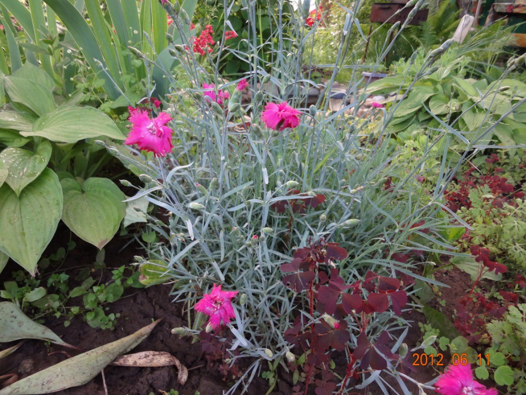 DSC00624.JPG