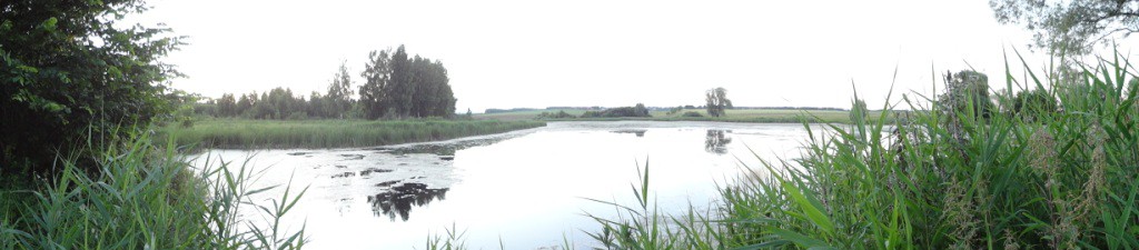 DSC00721.JPG