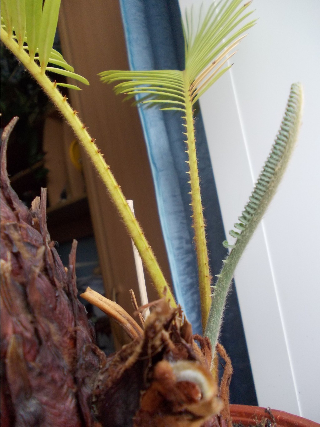 DSCN1466.JPG