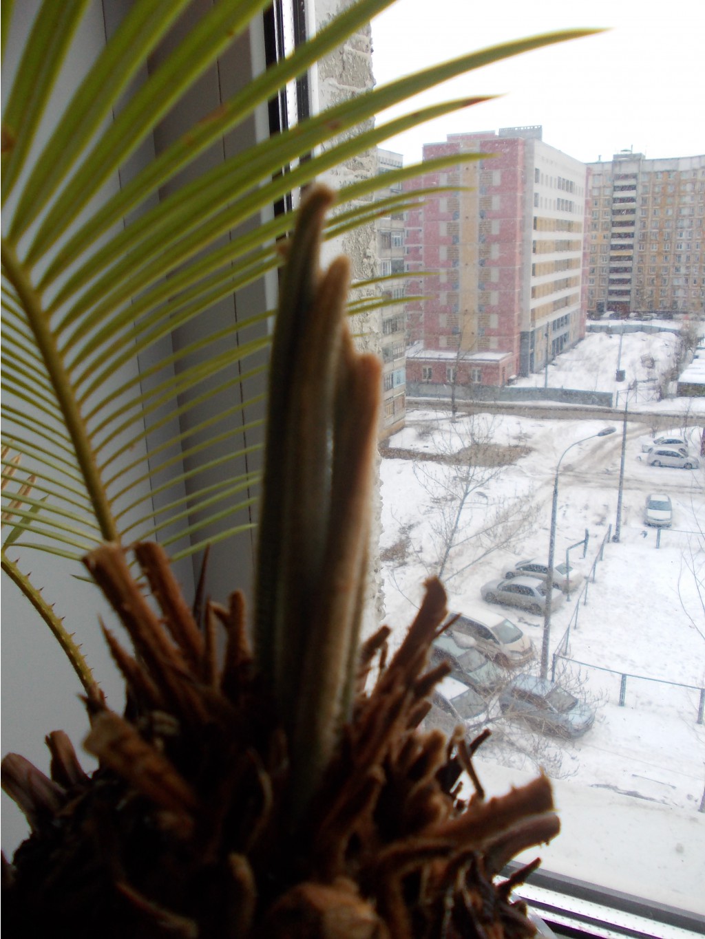 DSCN1447.JPG