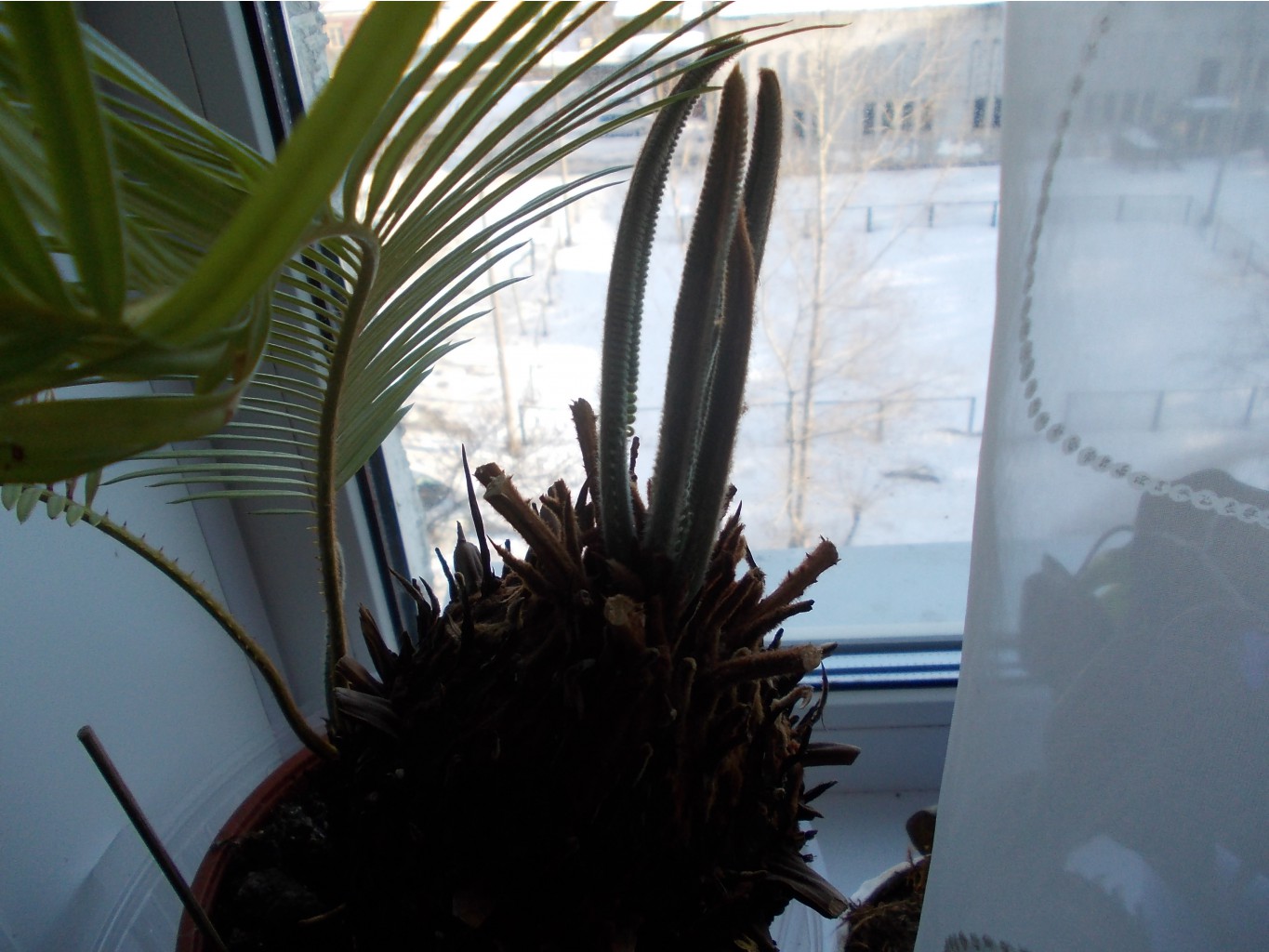 DSCN1452.JPG