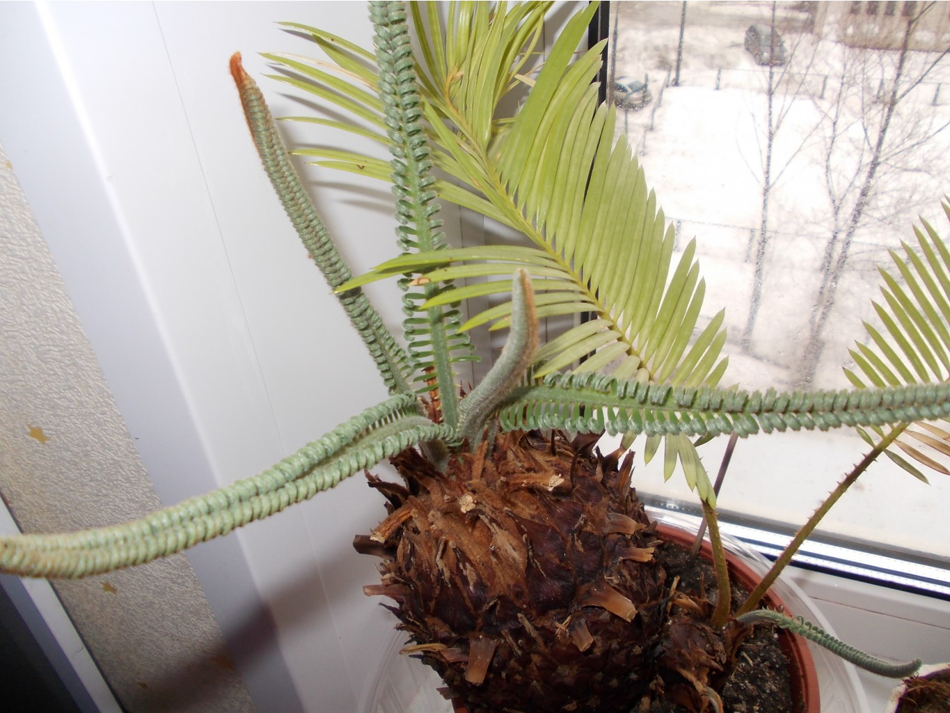 DSCN1471.JPG