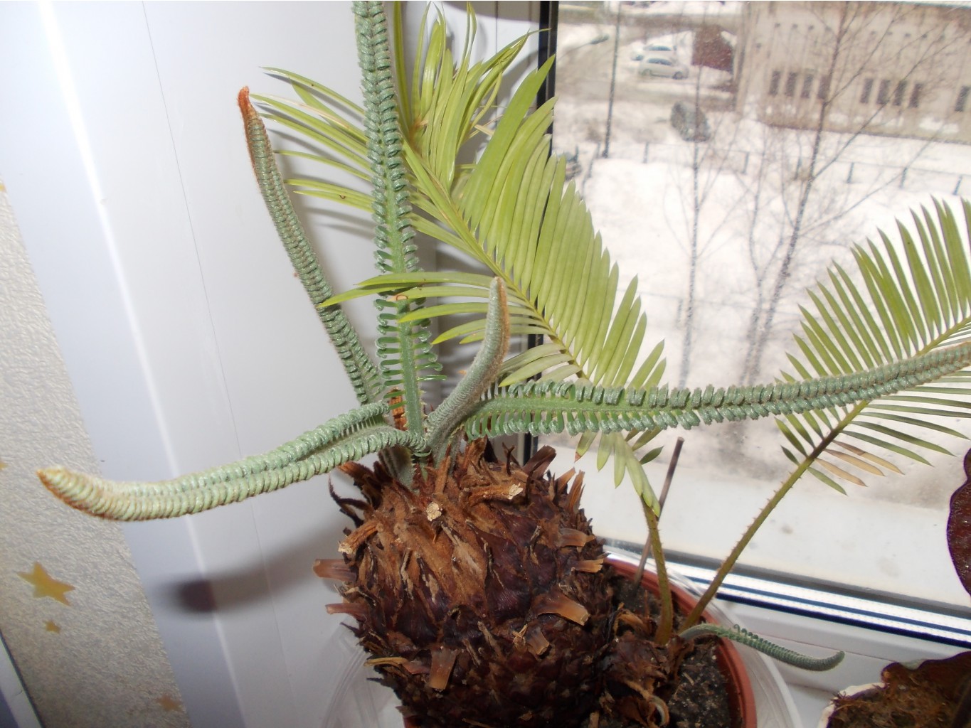 DSCN1473.JPG