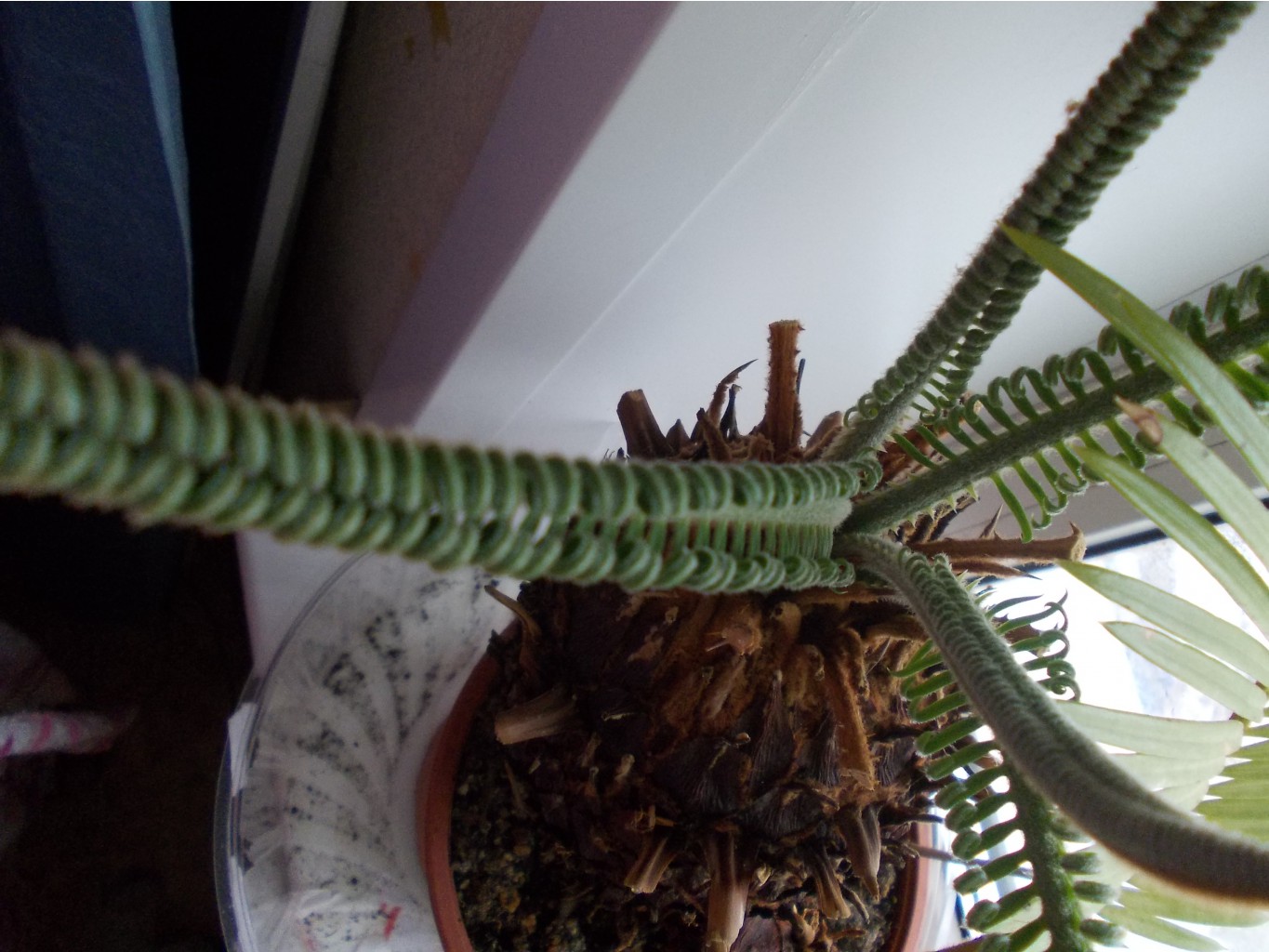 DSCN1477.JPG